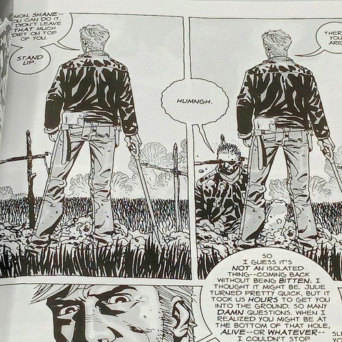 The Walking Dead #2 (Cómics de imágenes de Malibú abril de 2007) - Imagen 5 de 8