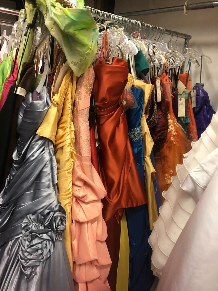 Mix Lot of 10 Prom & Formal Gowns, Retail $5000+ Sizes 4-16+, Alyce Nina Splash - Imagem 4 de 4