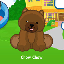 Webkinz Chow Chow Virtual PET Adoption Code Only Messaged Webkinz Chow Dog Code 
