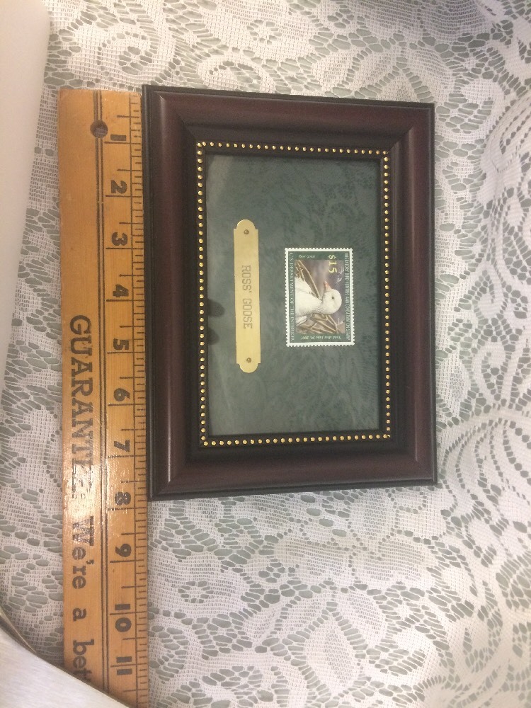 Picture 3 of 5