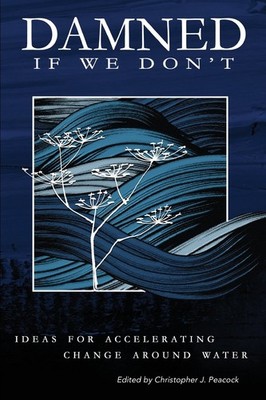Damned if We Don't!: Ideas for accelerating change around water