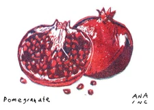 $2 SHIPPING Mini Print Anastasia Inciardi Machine Prints TRADES OK! Updated 9/10