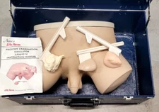 NASCO LIFE FORM PROSTATE EXAMINATION SIMULATOR TRAINER NURSING LF901-2292
