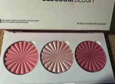 OFRA Cosmetics Midi Palette Blossom Blush  NEW