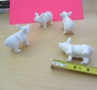 Foto 5 di 5