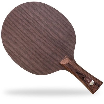 Stiga Destiny Carbon Tischtennisholz / NEU / zum Sonderpreis