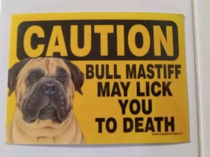 Bull Mastiff May Lick You To DeathSign Magnet Hook & Loop Fastener 5x7 Black