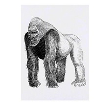'Standing Gorilla' Temporary Tattoos / Transfers TO00028074 