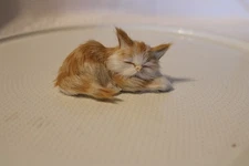 Vintage Realistic Sleeping Kitten 3.5" Small Cat Kitten Figurine Yellow & White