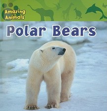 Polar Bears by Wilsdon, Christina