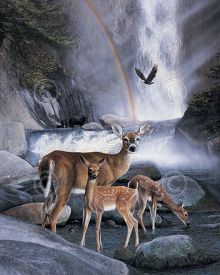 WILDLIFE ART PRINT - Over the Rainbow by Kevin Daniel Deer Eagle Poster 19x13
