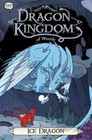 Ice Dragon [6] [Dragon Kingdom of Wrenly]  Quinn, Jordan  Acceptable  Book  0 pa