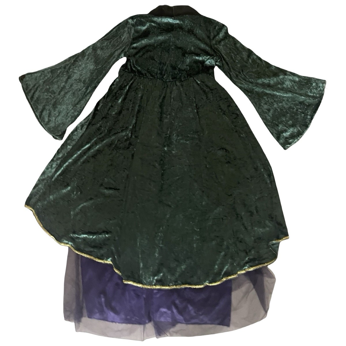 Disney Hocus Pocus Winifred Sanderson Costume Dress Woman's 1X Green  Halloween | eBay