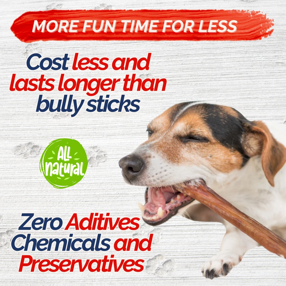 Collagen Economy Box: 100 PK (150 Units) 6 Inches Natural Collagen Sticks - Image 3 of 4