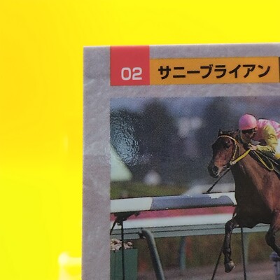 Sunny Brian / Thoroughbred Horse Racing Card Vintage TCG BANDAI