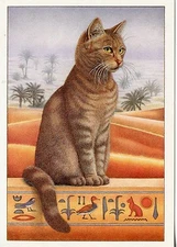 POSTCARD / POSTCARD ILLUSTRATOR / FRANCINE VAN WESTERING // CAT CHAT