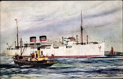 Künstler Ak Dampfer Highland Monarch, Royal Mail Lines - 4145659