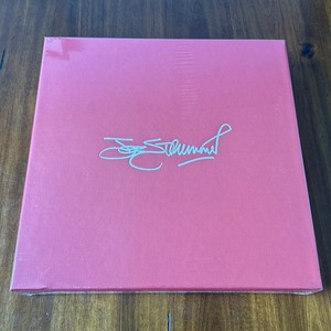 Joe Strummer 001 | eBay