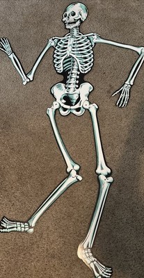 Vintage Beistle 22  Jointed Posable Skeleton Halloween Decoration die cut
