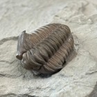 Bild 2 von 5