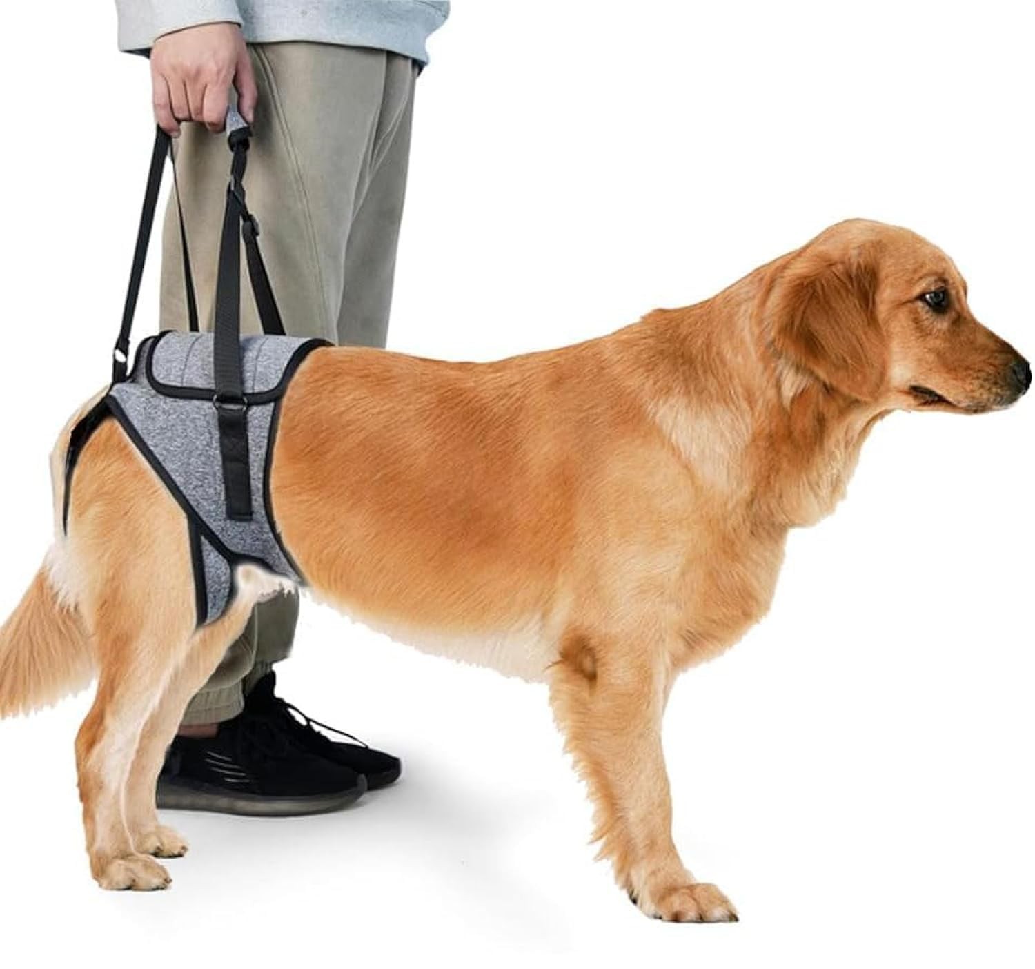 Supporto Ortopedico KOMUNJ: Imbracatura Riabilitazione Cane Post-Operatorio
