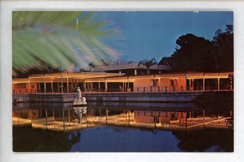 Restaurant postcard Florida FL Madeira Beach Kapok Tree Inn night statue lights - Bild 1 von 2