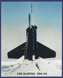 USS BLUEFISH SSN-675 Submarine at the North Pole 8 x 10  Official USN Photo