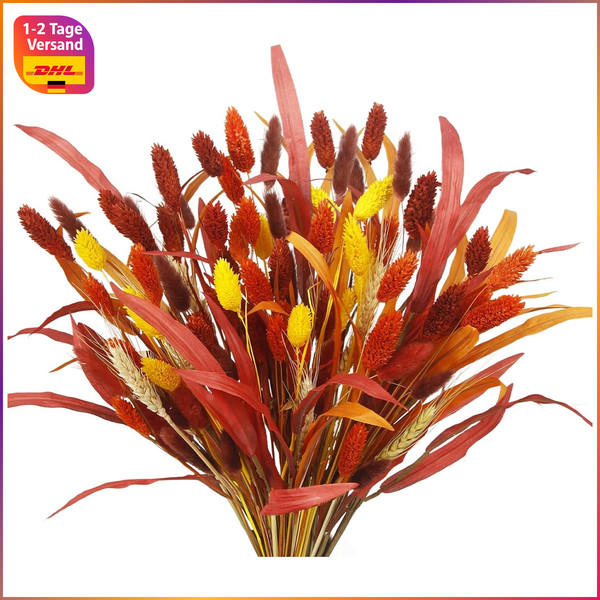 Trockenblumenstrauß 94 StüCk Getrocknete Blumen Bunny Tails Herbst Dekoration-image