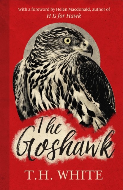 The Goshawk: With a new foreword by Helen Macdonald by T. H. White... - Image 3