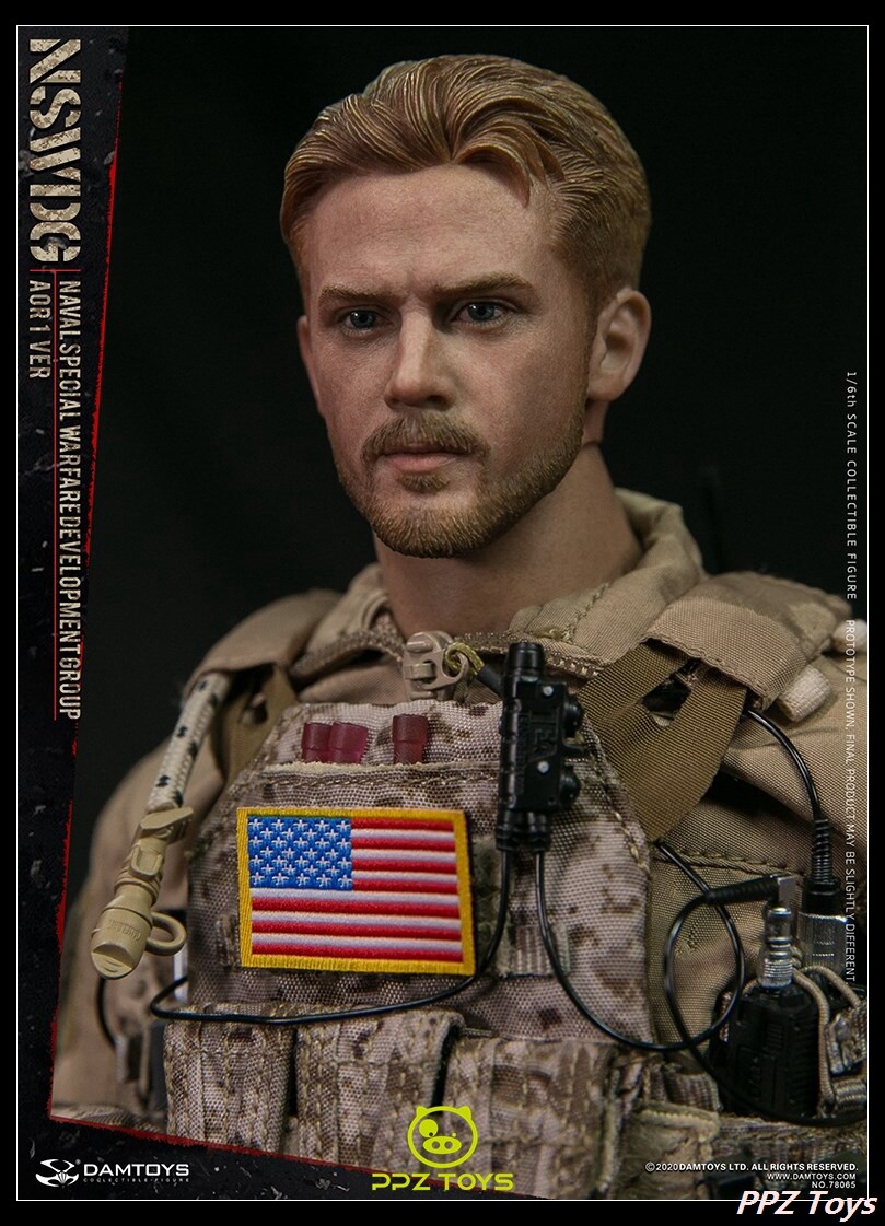 1/6フィギュア　NSWDG AOR2VER DAMTOYS DamToys (DAM-78072) NSWDG US Naval Special Warfare
