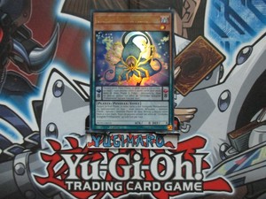 Rockos tenacia 74//108 xy12 EVOLUTION-Reverse Holo de NM POKEMON