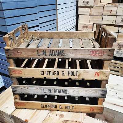 CHITTING GEMÜSESCHALEN - Vintage Antik Rustikal Holz Bauernhof Tablett Apfelkiste