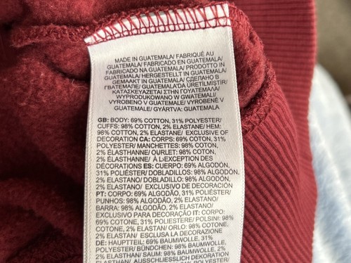 THE NORTH FACE size M/10 Youth SWEATSHIRT Hoodie Boys Unisex GRIZZLY BEAR V24 - Picture 3 of 4
