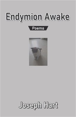 Endymion Awake (Paperback or Softback)