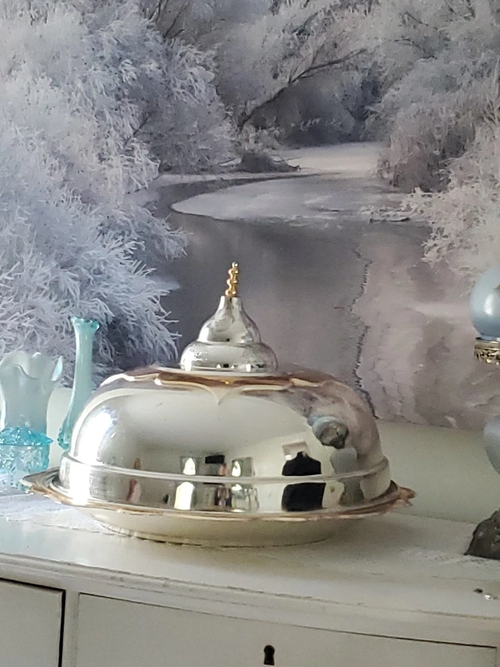 Antiguo plato para servir eduardiano ovalado plateado AVCI muy grande y cúpula con tapa Foto 4 de 4