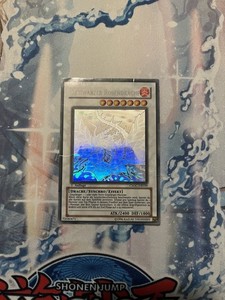 Black Rose Dragon Ghost Rare