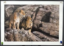 Alan Hunt, Nobility, Lion Animal Wildlife Fine Art Print, Lithograph