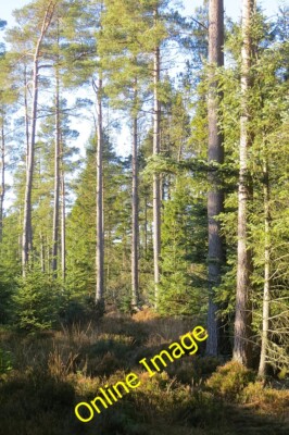 Foto 6x4 Pfad, Montreathmont Forest Pickerton Ein nasser Pfad verbindet sich kartiert c2014