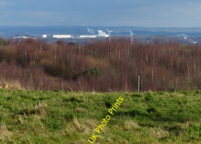 Foto 6x4 Blick nach Osten über Grey Lodge Wood Bondman Hays Grey Lodge Wood w c2014
