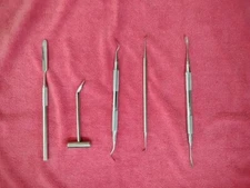 5-American Eagle Dental/Veterinary Surgical and Restoration Instruments