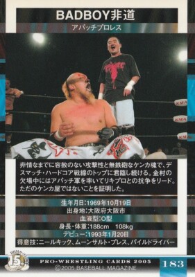 Badboy Hido 2005 BBM Pro Wrestling #183 | eBay