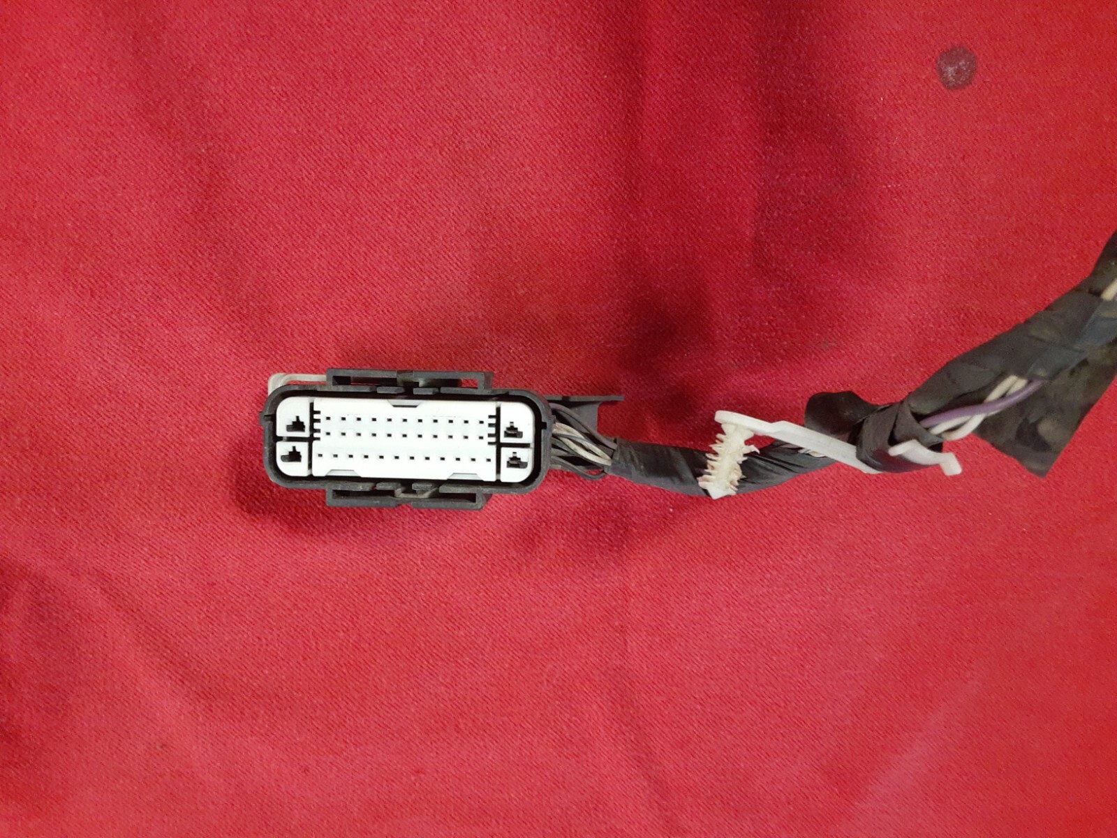 Picture 3