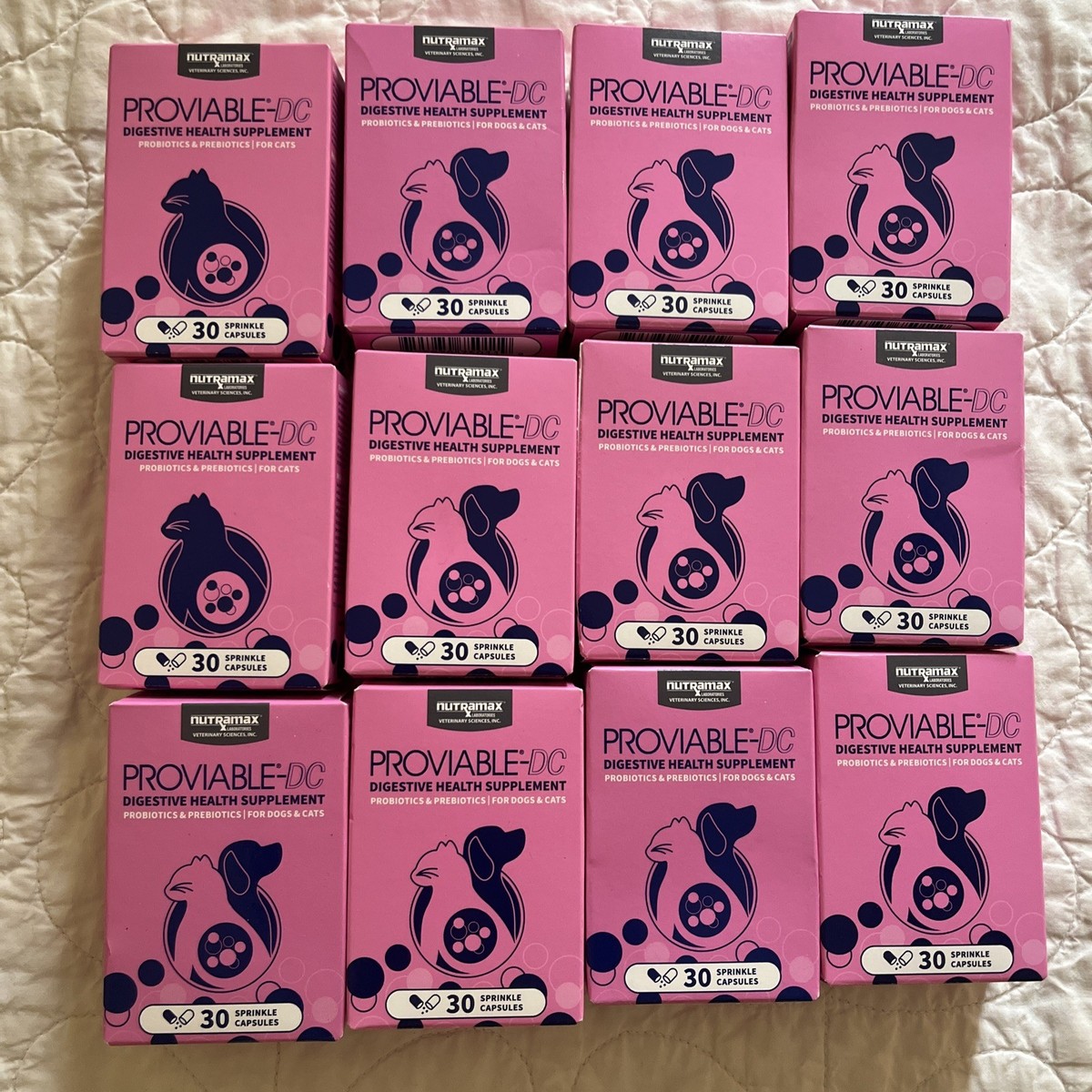 Sprinkle Capsules Proviable For Dogs Diarrhea Nutramax® Proviable