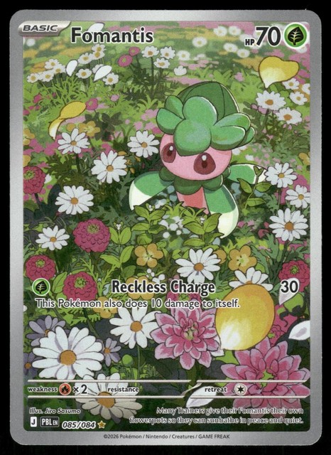 Fomantis #85 (Pitch Black)