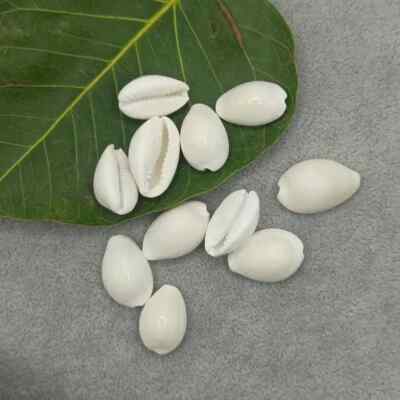 SHRI LAXMI KODI KAUDI PACK OF 4- WEALTH PROSPERITY DEVI LAKSHMI BLESSINGS RARE