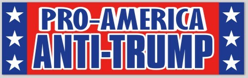 PRO-AMERICA  ANTI-TRUMP BUMPER STICKER DECAL BIDEN HARRIS 2024 PRESIDENT - Afbeelding 1 van 1