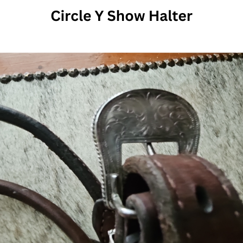 Circle Y Western Silver Show Halter #602 Average Horse Size