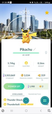 Pokémon Pikachu Safari Hat Incheon BG GO