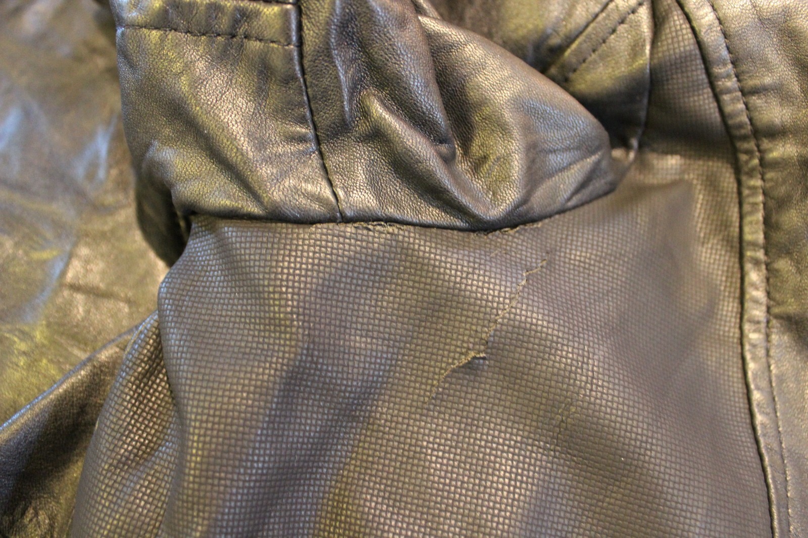 Picture 12 of 12