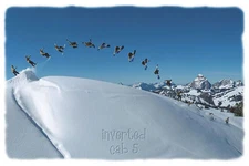 POSTER Inverted Cab 5 Snowboarder 24x36 Studio B
